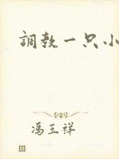 调教一只小母狗封面