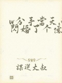 w分手当天,我闪婚了个亿万富翁》