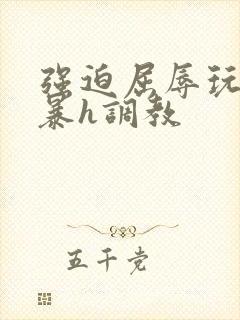 强迫屈辱玩弄粗暴h调教