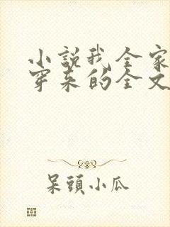 小说我全家都是穿来的全文