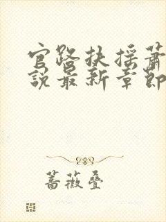 官路扶摇萧错小说最新章节封面