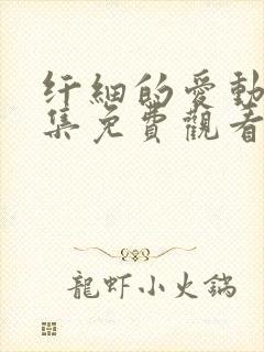 纤细的爱动漫全集免费观看 完整版封面