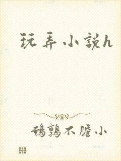 玩弄小说h