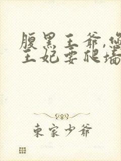 腹黑王爷,您的王妃要爬墙