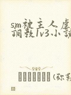 sm被主人虐玩调教1v3小说