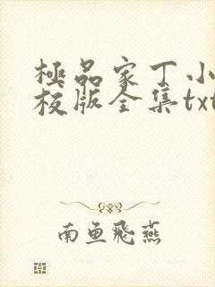 极品家丁小说精校版全集txt