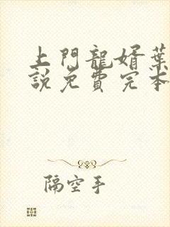 上门龙婿叶辰小说免费完本