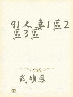 91人妻1区2区3区封面