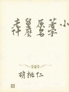 老舅原著小说叫什么名字