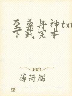 至尊丹神txt下载完本