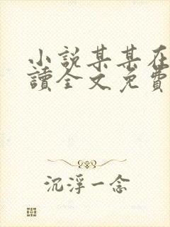 小说某某在线阅读全文免费