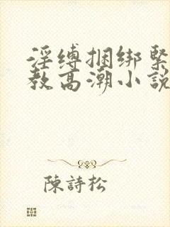 淫缚捆绑紧缚调教高潮小说封面