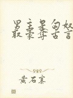 男主是匈奴的强取豪夺古言