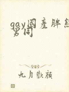 gay国产胖熊男同封面