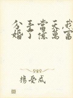 分手当天,我闪婚了亿万富豪免费看
