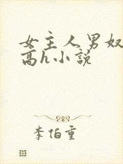 女主人男奴调教高h小说