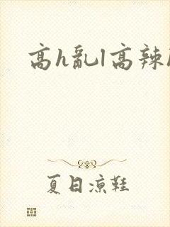 高h乱l高辣h