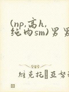 (np,高h,纯肉sm)男男
