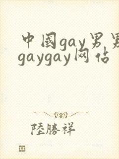 中国gay男男gaygay网站