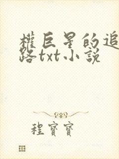 权巨星的追妻之路txt小说
