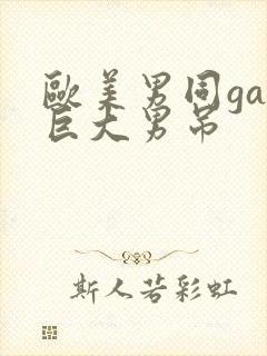欧美男同gay巨大男吊