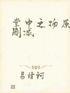 掌中之物原版无删减封面