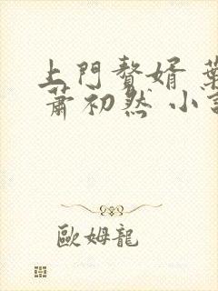上门赘婿 叶辰 萧初然 小说封面