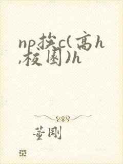 np挨c(高h,校园)h