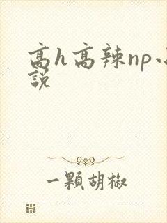 高h高辣np小说