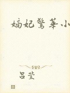 嫡妃惊华小说