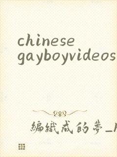 chinesegayboyvideos封面