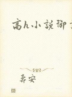 高h小说御书屋封面