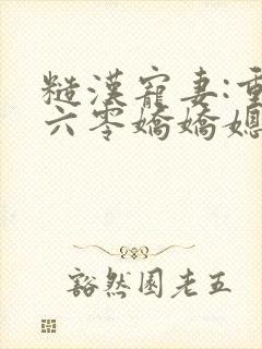 糙汉宠妻:重生六零娇娇媳在线阅读