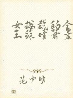 女总裁的全能兵王苏晴萧晨