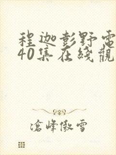 程迦彭野电视剧40集在线观看