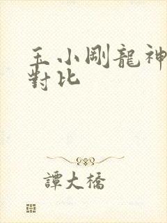 玉小刚龙神斗罗对比