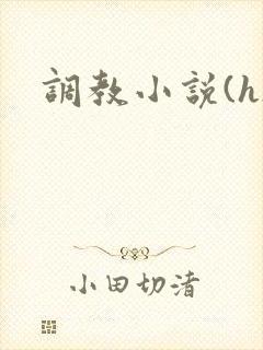 调教小说(h)