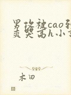 男攻被cao到爽哭高h小说