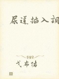 尿道插入调教文