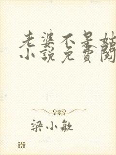 老婆不是姑娘吗小说免费阅读