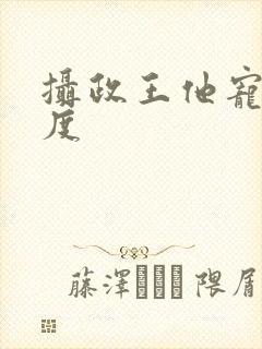 摄政王他宠妻无度