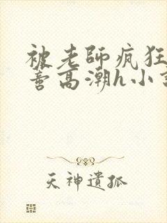 被老师疯狂揉肉蒂高潮h小说