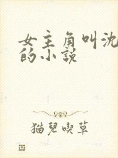 女主角叫沈初夏的小说