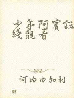 少年阿宾钰慧在线观看封面