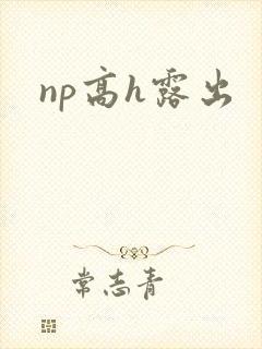 np高h露出