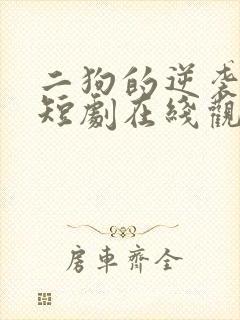 二狗的逆袭人生短剧在线观看