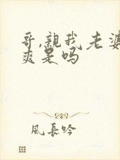哥,亲我老婆很爽是吗