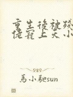 重生后被残疾大佬宠上天小说读