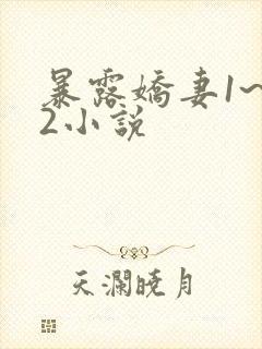 暴露娇妻1~12小说