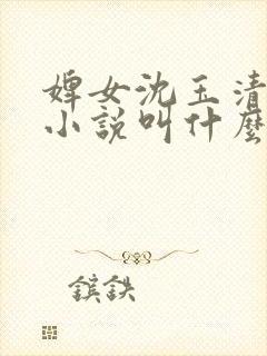 婢女沈玉清原著小说叫什么名字啊